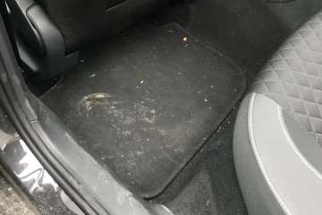 Škoda Rapid Monte Carlo