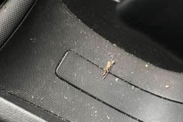 Škoda Rapid Monte Carlo